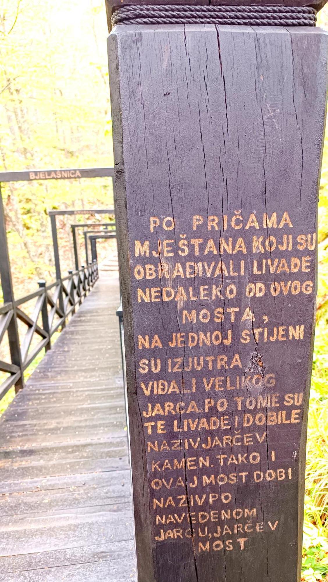 Oaza *